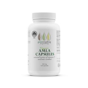 Winter Wellness: Organic Amla Capsules 500mg