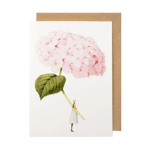 Cards: Laura Stoddart pale pink hydrangea illustration card