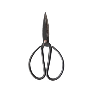 Kitchen Accessories: Black herb scissors 21cm