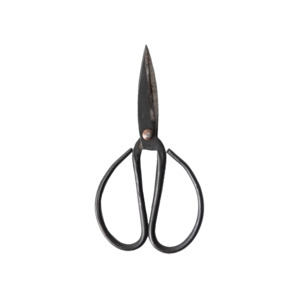 Black herb scissors 17cm