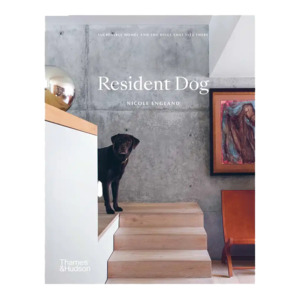 Books 1: Resident Dog book