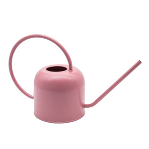 Plants Seeds: Watering can 1.7 litre rose
