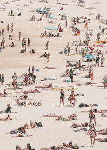 Poppie Pack: Poppie Pack '30 Degree Days' photographic print