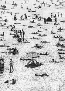 Poppie Pack 'Pods of Five' photographic print