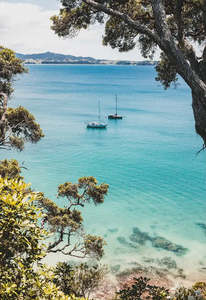 Art Prints: Summer Solitude photographic print