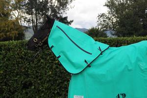 Products: Gregory Equine Lined Neck Piece - Gregory Equine