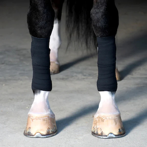 Products: Incrediwear Equine Exercise Bandages - Gregory Equine