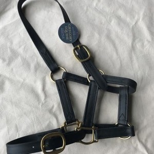 Gregory Equine PN Halter - Gregory Equine