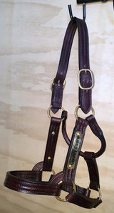 Gregory Equine Stallion Halter - Gregory Equine