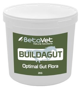 Betavet Buildagut - Horse Supplement Gregory Equine
