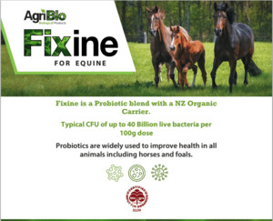 Fixine Probiotic Supplement for Horses Gregory Equine