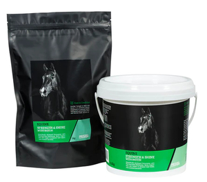 Products: FourFlax Biotin+ 1.5kg - Gregory Equine