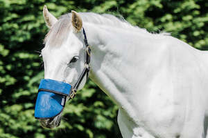 Horse Accessories: FLAIR SOLA SHADE NOSE GUARD