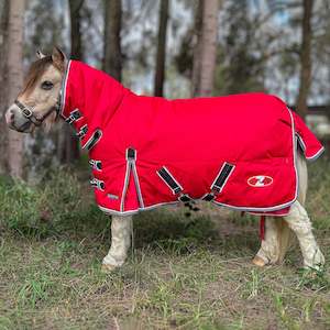 Zilco Mighty Mini Combo