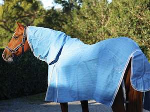 Rugs: Zilco Hamilton Combo