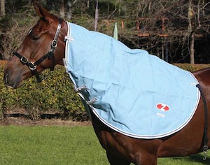 Rugs: Zilco Hamilton Neck Rug