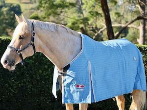 Rugs: Zilco Hamilton Rug