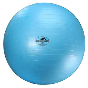 Stable: Horsemaster Mega Ball Horse Exercise Toy