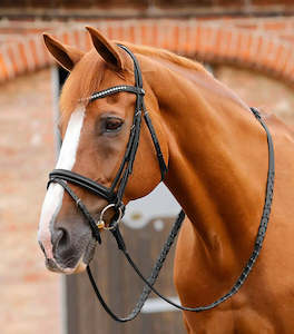 Premier Equine: Premier Equine Bellissima Crank Bridle with Diamante Browband