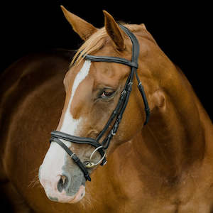 Platinum Signature Elegance Bridle