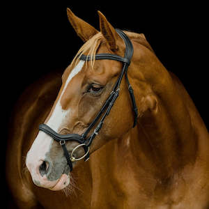 Platinum Signature Pressure Relief Bridle