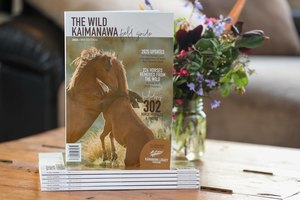 Our Favourites: The Wild Kaimanawa Field Guide 2025