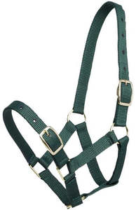 Zilco Gymkhana Foal Halter
