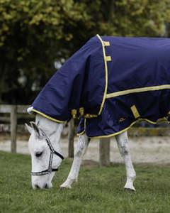 Horse: Cavallino Northampton Detach A Neck - 50g