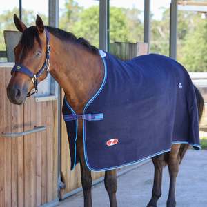 Horse: Zilco Defender Wool Rug