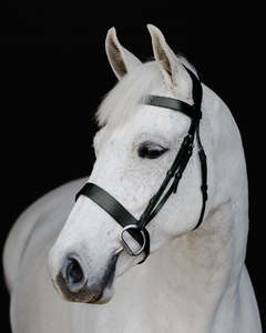 Horse: Platinum Signature Show Hunter Bridle