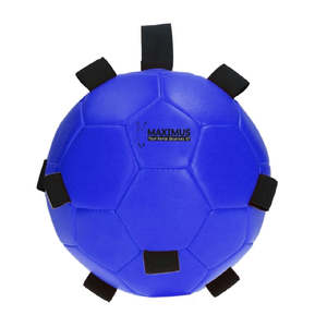 Maximus Fun Play Balls