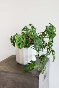 Products: Hera Ceramic Planter (unit 4 + 12)