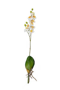 Artificial Flowers Foliage: Phalaenopsis Orchid Stem - Box of 12