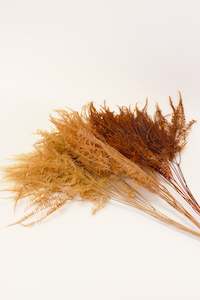 Dried Flowers: Pteris Fern Bunch (unit 1 + 18)
