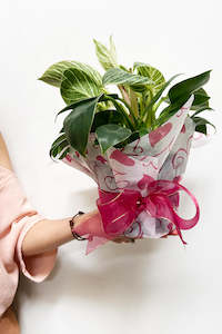 Packaging: Vilene - Heart Print 30M (unit 1 )