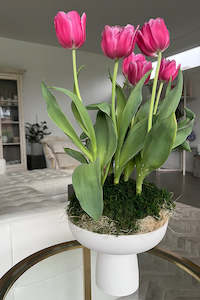 Charlotte Pedestal (unit 4 + 12)