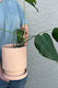 Metro Planter (unit 5)