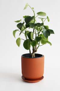 Ceramic: Mono Planter (unit 4)