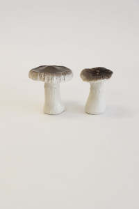 Celebration: Ceramic Russula Mushroom Pair (Unit 3 + 24)