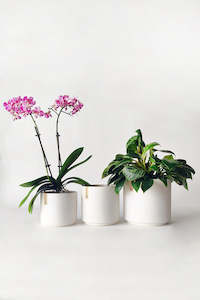 PRE-ORDER: Stella Ceramic Planter (unit 4 + 18)