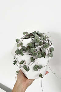 This Look Winter: Geometric Ceramic Planter/Vase (unit 4 + 12)