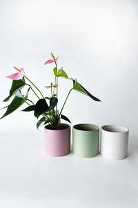Planters: Willow Ceramic Cover Pot (unit 9)