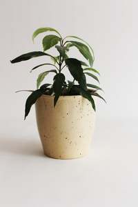 Sand Dune Planter/Vase (Unit 4 +16)