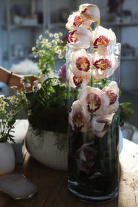 Tall Cylinder Vase (Unit of 3 + 12)