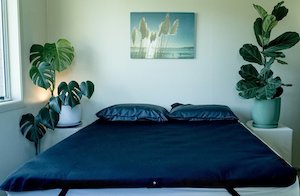 Frontpage: Queen Earthing Mat + Two Pillow Covers - Save $70 on Your Wellness Bundle