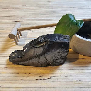 Shungites Finest Elite One Piece Nugget Collection: Shungite Crystal: Rare One-Piece Nugget - Aconcagua (Andes)