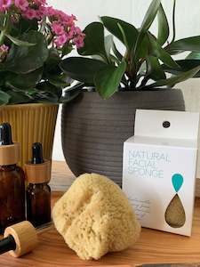 Bath: Natural Facial Sponge