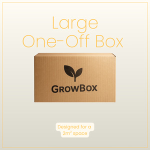 Products: Large Seasonal Box 'One-Off'