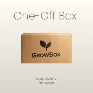 Products: Medium Seasonal Box 'One-Off'