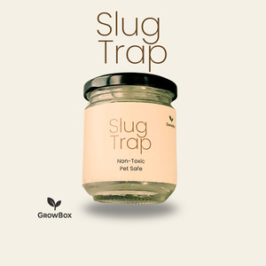 Products: Non-Toxic Slug Trap 3-Pack